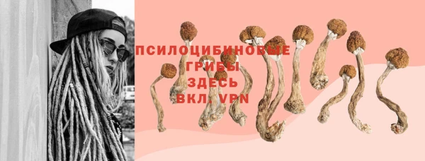 мескалин Абаза