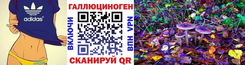 KRAKEN онион  Тотьма  Галлюциногенные грибы Magic Shrooms  цены наркотик 